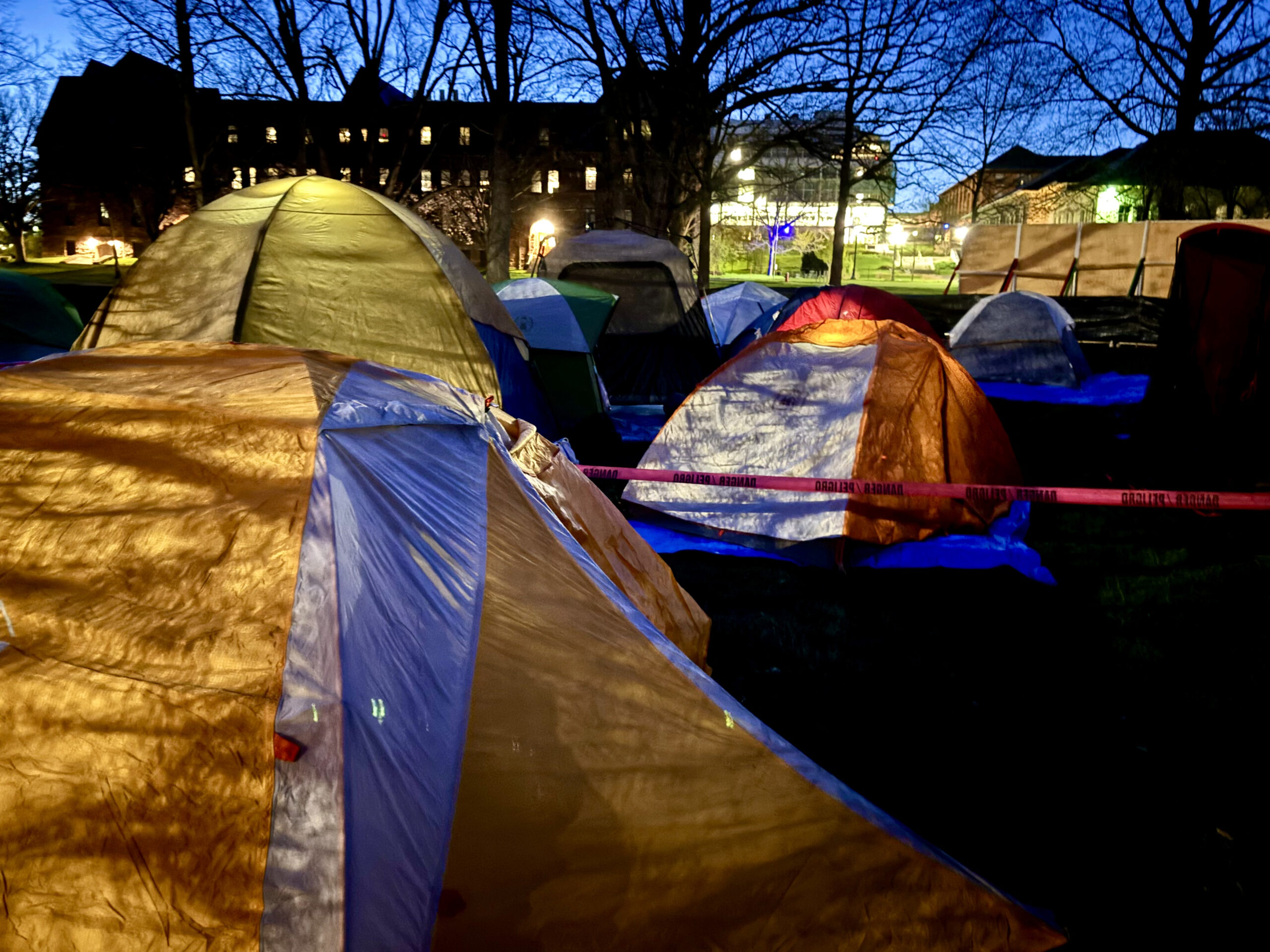 Colorful tents lit under a night sky on Cornell's Arts Quad. Shadows of trees can be seen against the sky.