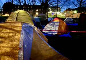 Colorful tents lit under a night sky on Cornell's Arts Quad. Shadows of trees can be seen against the sky.